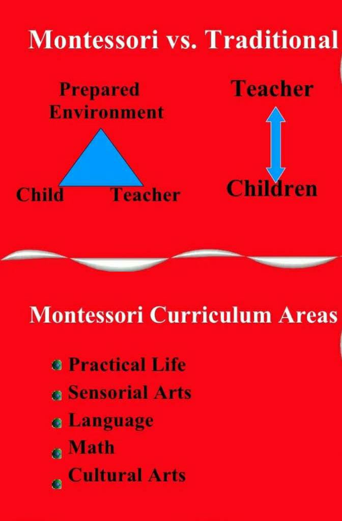 Little Birds Teacher Training